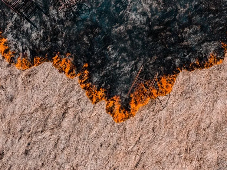 Drone Lawrence - 18x24 Framed Photograph - 'Back Burn'