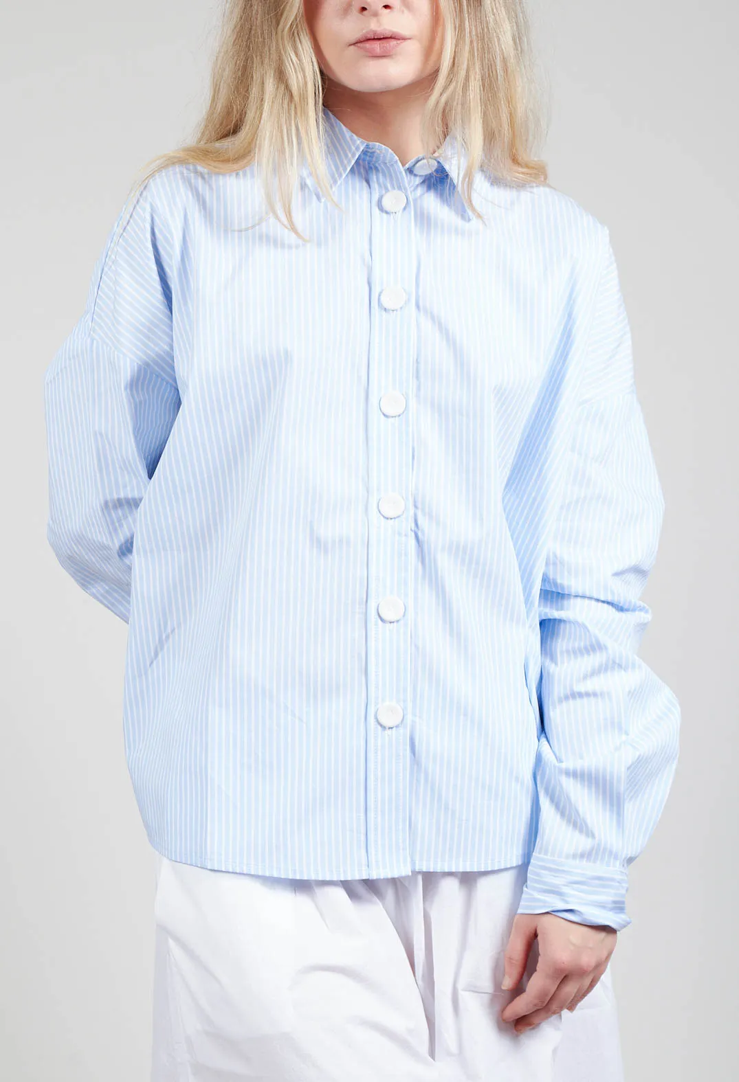 Oxford Shirt in Striped Blue